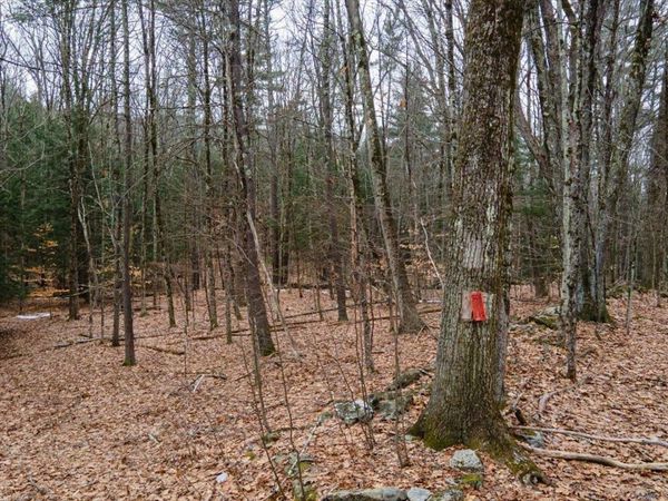 00 Patton Road, Westmoreland, NH 03467