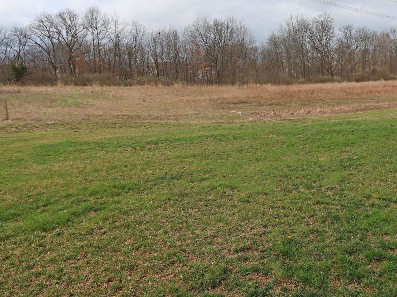 231 Harness Way , Delaware, OH 43015 Photo 4