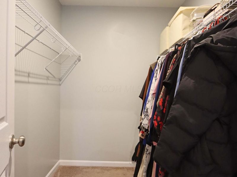 231 Harness Way , Delaware, OH 43015 Photo 50