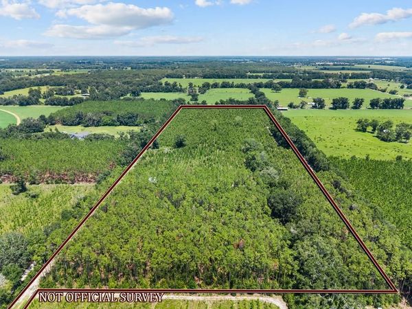 0 SW County Road 341, Bell, FL 32619