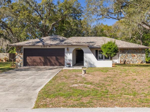 1101 DAGMAR AVENUE , SPRING HILL, FL 34606