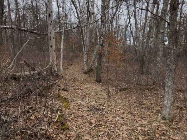 TBD Big Pine Trail , Crosslake, MN 56442