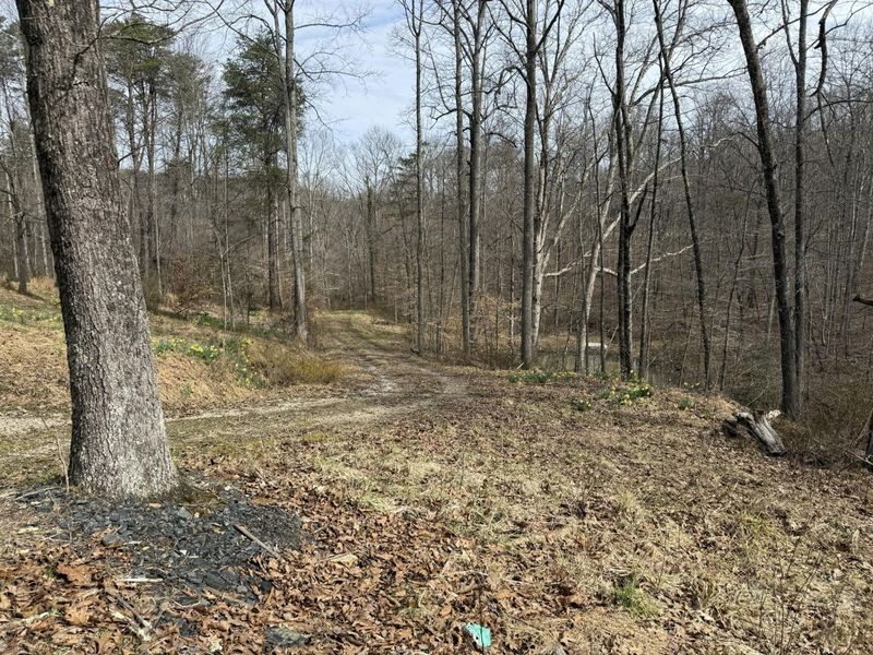 16900 State Route 664 S, Logan, OH 43138 Photo 11