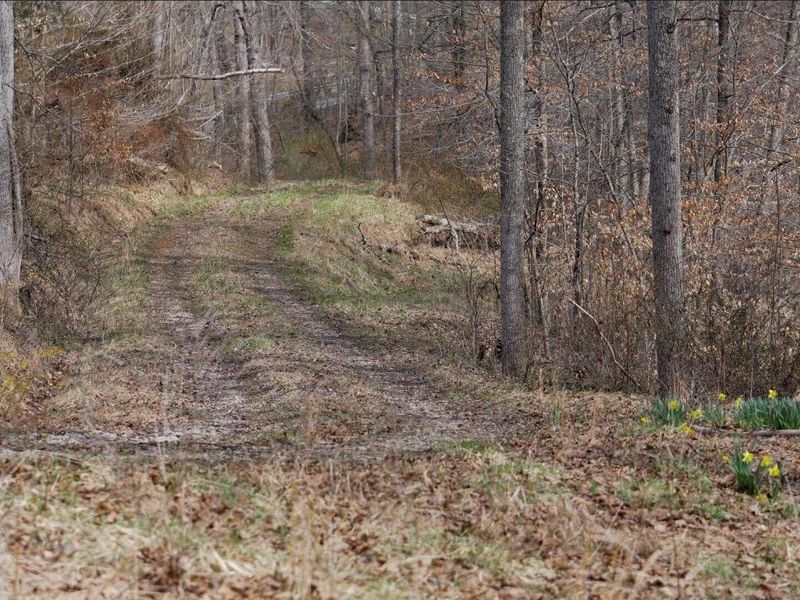 16900 State Route 664 S, Logan, OH 43138 Photo 15