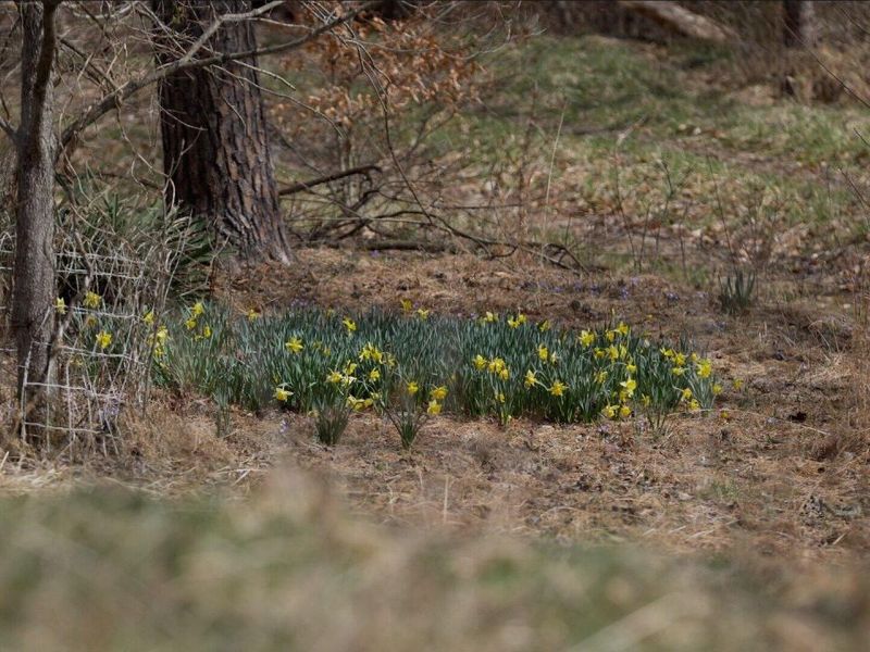 16900 State Route 664 S, Logan, OH 43138 Photo 16