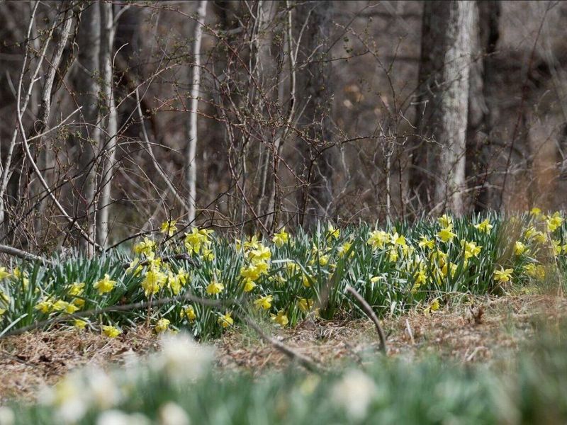 16900 State Route 664 S, Logan, OH 43138 Photo 17