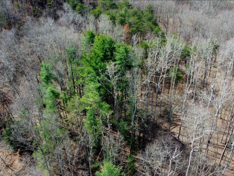 16900 State Route 664 S, Logan, OH 43138 Photo 18