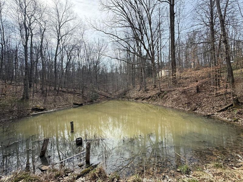 16900 State Route 664 S, Logan, OH 43138 Photo 23