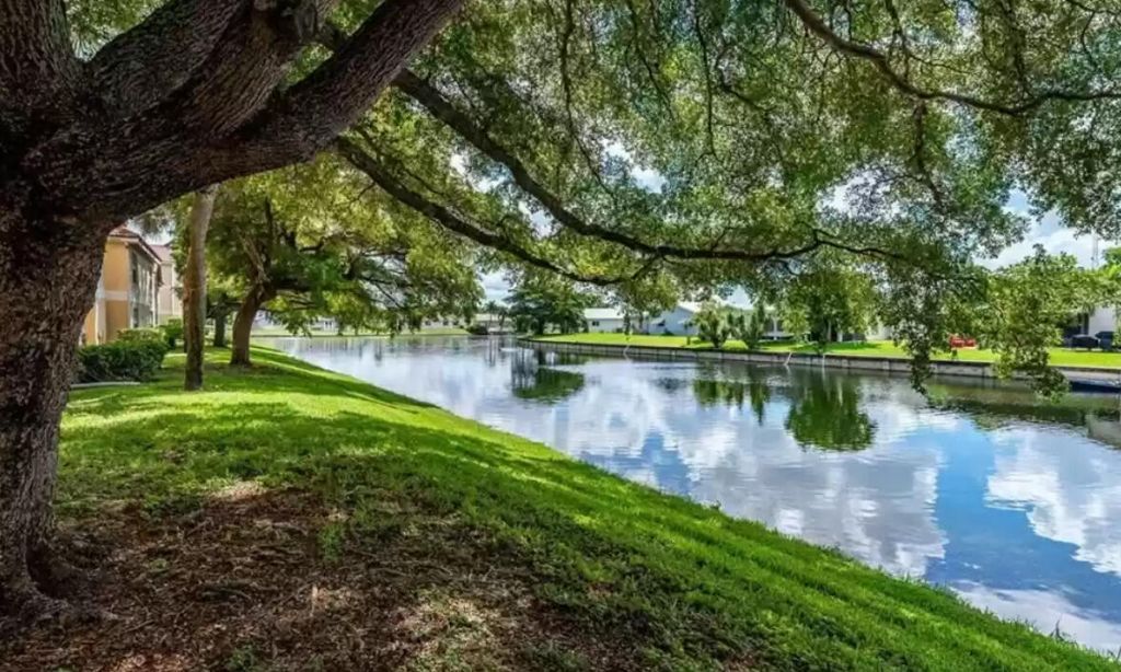 7630 Westwood Drive, Unit 313, Tamarac, FL 33321 Photo