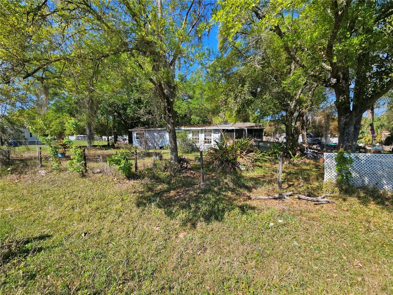 6417 Saddletree Drive, Wesley Chapel, FL 33544 Photo