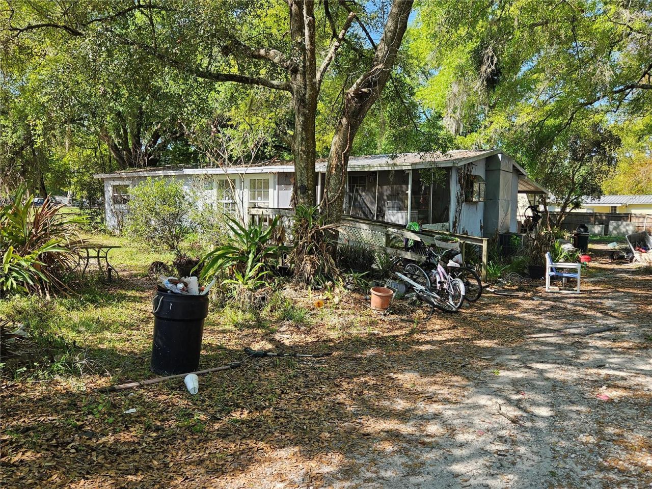 6417 Saddletree Drive, Wesley Chapel, FL 33544 Photo