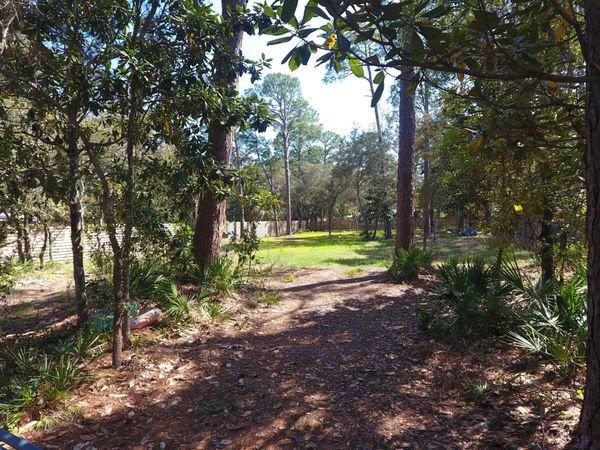 172 E Harborview Road, Santa Rosa Beach, FL 32459