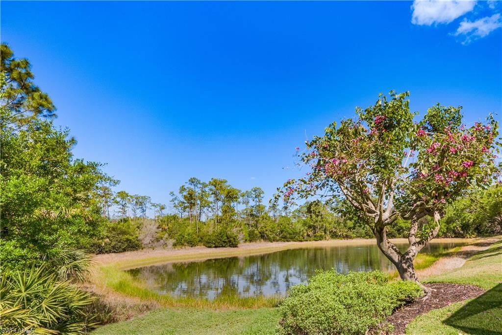 28312 Terrazza Ln, Naples, FL 34110 Photo