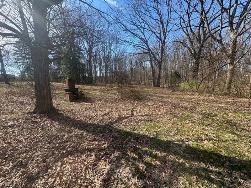 3622 Shirley Road, Youngstown, OH 44502 Photo 30