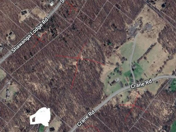 111 Crane Road , Unit 101, Bloomingburg, NY 12721