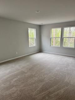 210 Barnwood Lane Photo 20