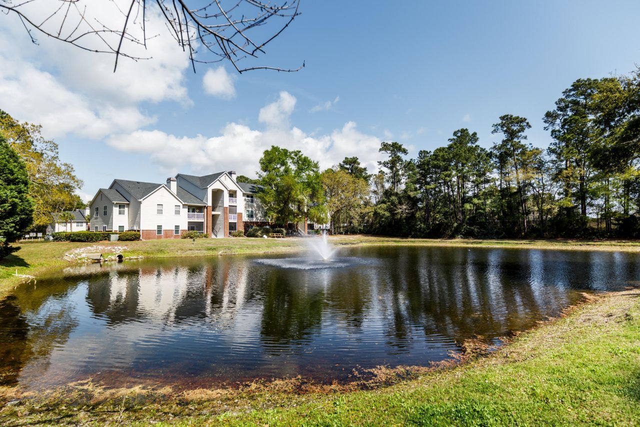 2011 N Highway 17 Photo 44