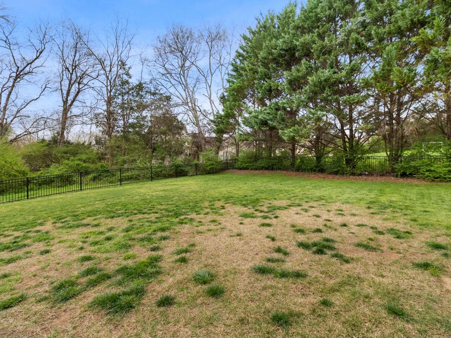 Property Image 61
