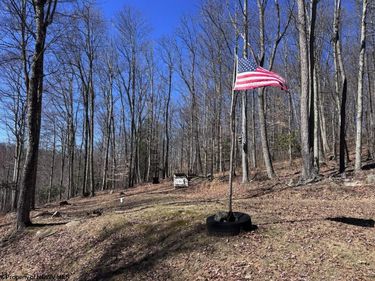 863 Jackson Ford Road, Tallmansville, WV 26237