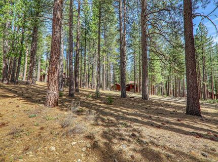 11581 Bottcher Loop, Truckee, CA 96161 Photo