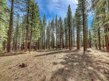 11581 Bottcher Loop, Truckee, CA 96161 Photo