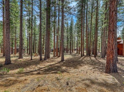 11581 Bottcher Loop, Truckee, CA 96161 Photo