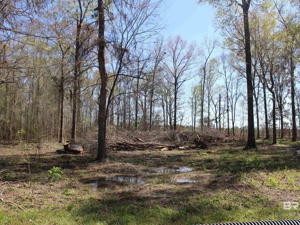Heron Point Drive, Lowndesboro, AL 36752