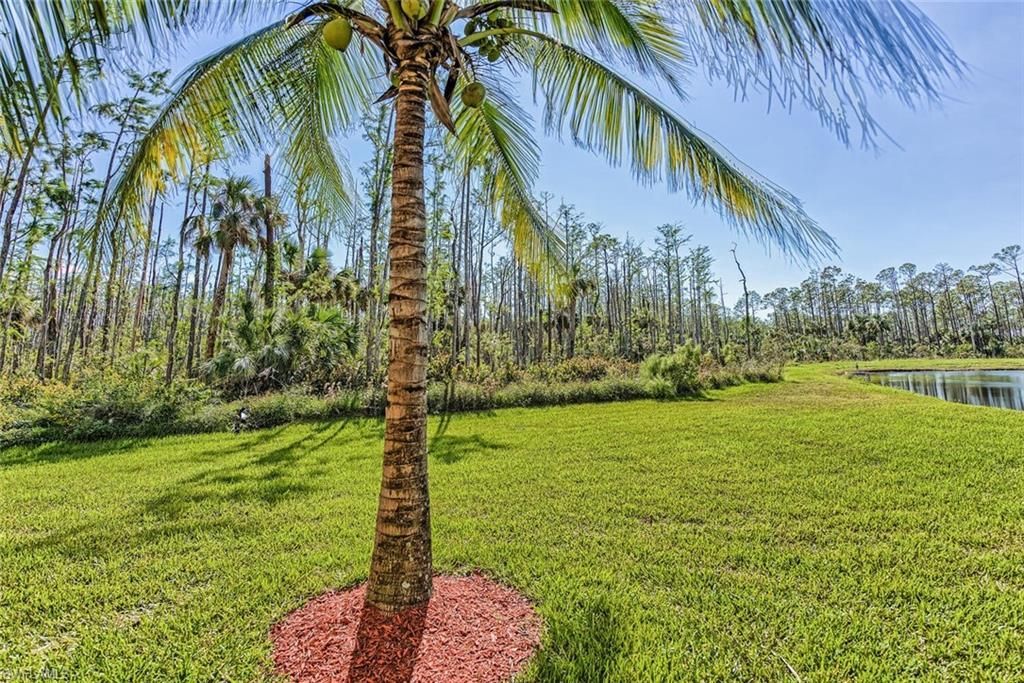 9719 Acqua Ct, Unit 228, Naples, FL 34113 Photo