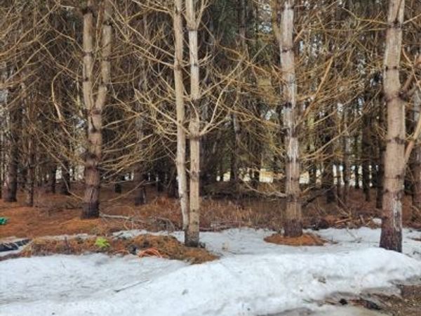 54 E Main St, Plainfield, MA 01070