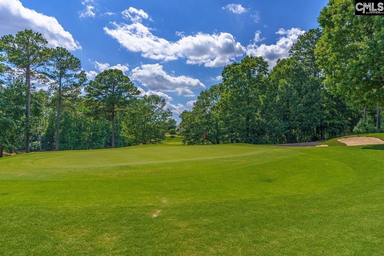 203 Woodlander Drive  Photo 42