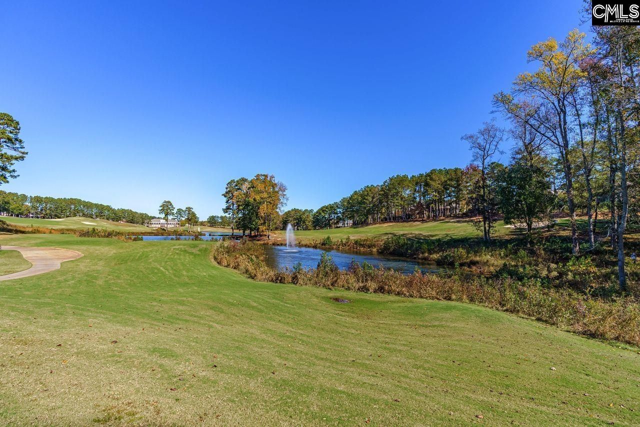 203 Woodlander Drive  Photo 43