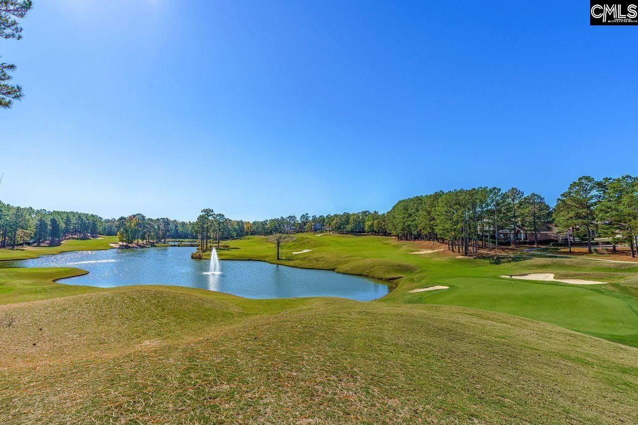 203 Woodlander Drive  Photo 44