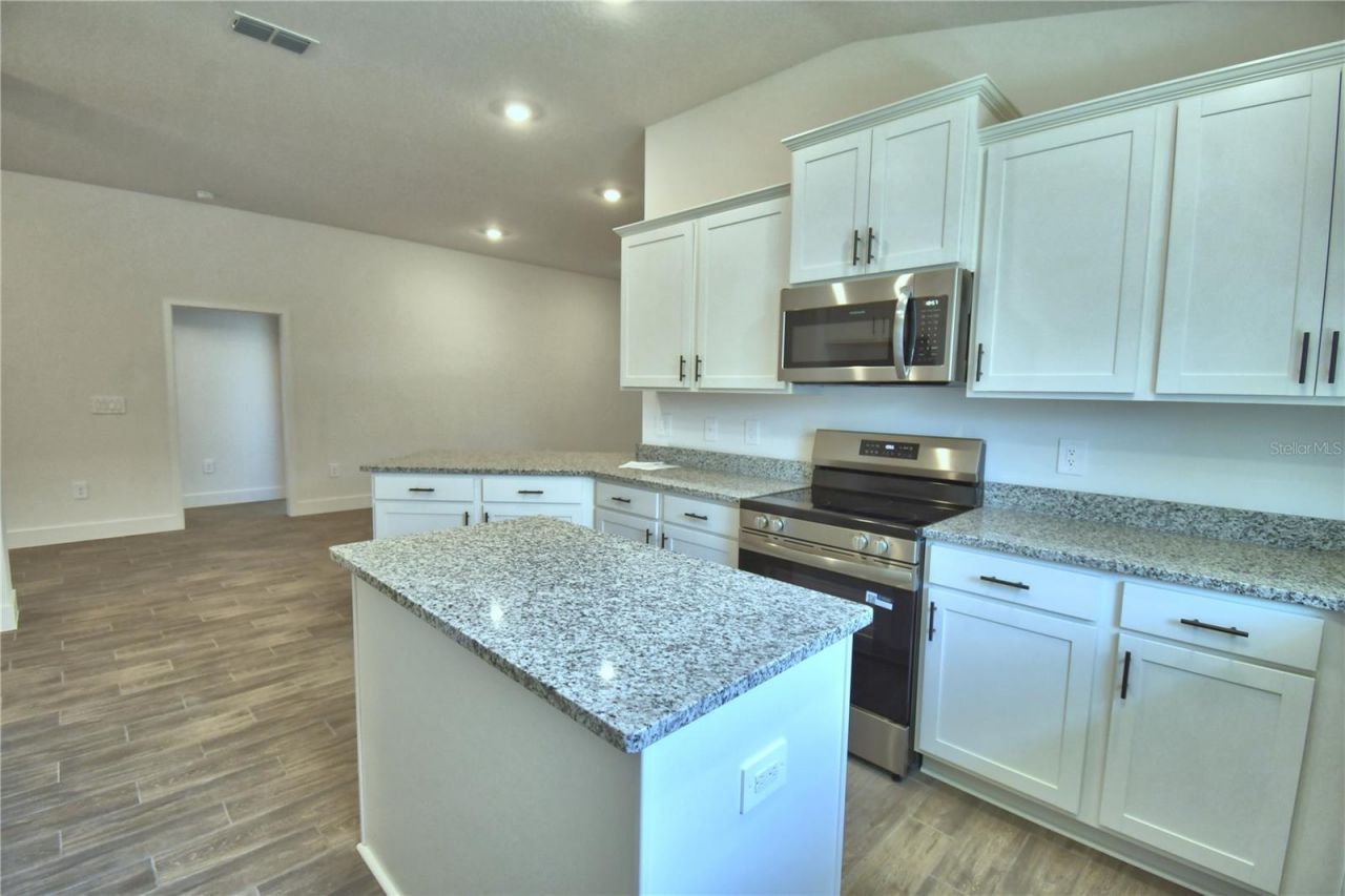 4467 Juliana Lake Drive, Auburndale, FL 33823 Photo