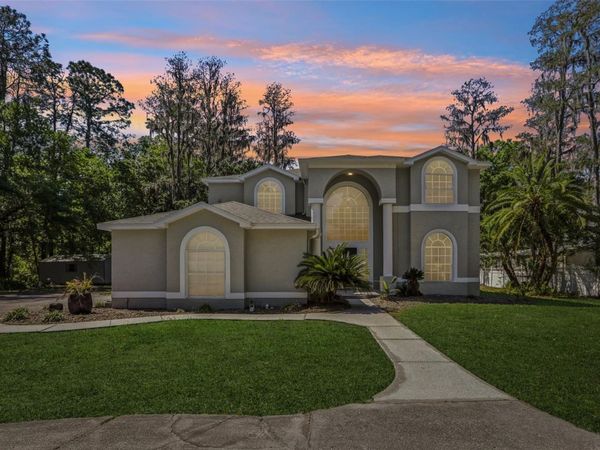 14714 COLOMA LANE, ODESSA, FL 33556