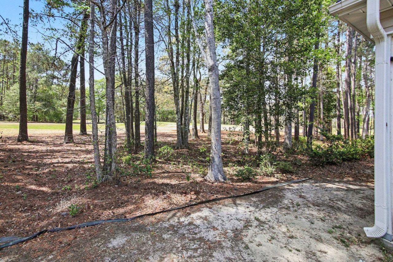 120 Kingsbury Loop Photo 20