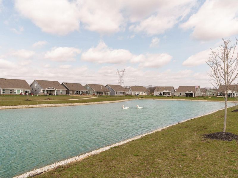 6090 Windcliff Drive E, Grove City, OH 43123 Photo 41