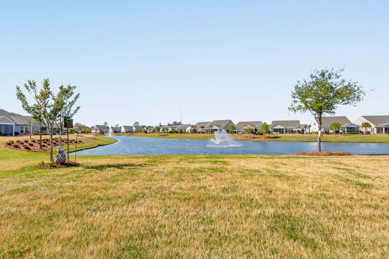 525 Switchgrass Drive Photo 58