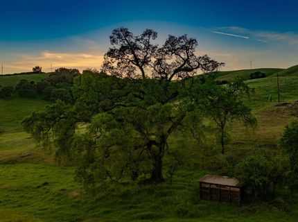 15205 Bunker Hill Rd, Amador City, CA 95601 Photo