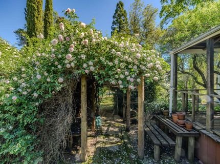 15205 Bunker Hill Rd, Amador City, CA 95601 Photo