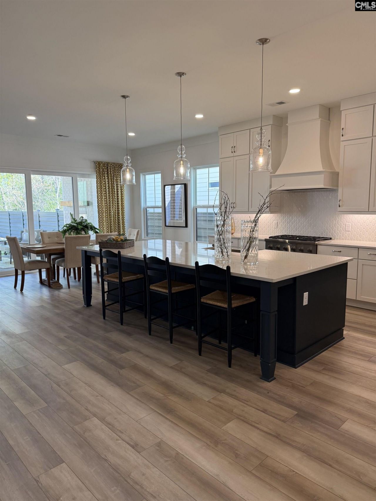 534 Dreher Locks Road  Photo 12