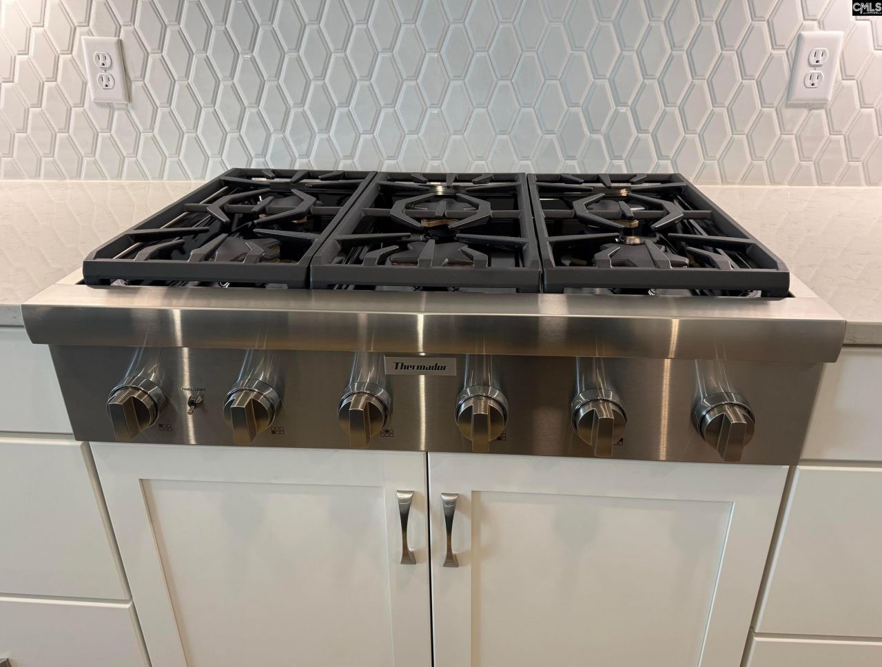 534 Dreher Locks Road  Photo 13