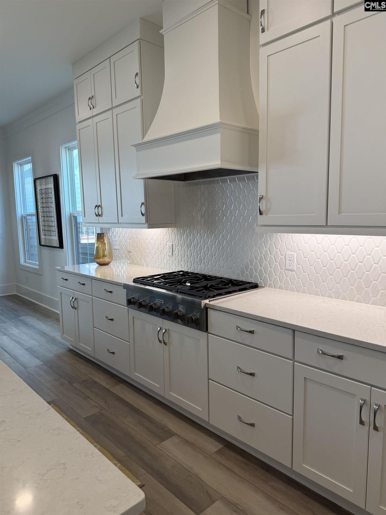 534 Dreher Locks Road  Photo 14