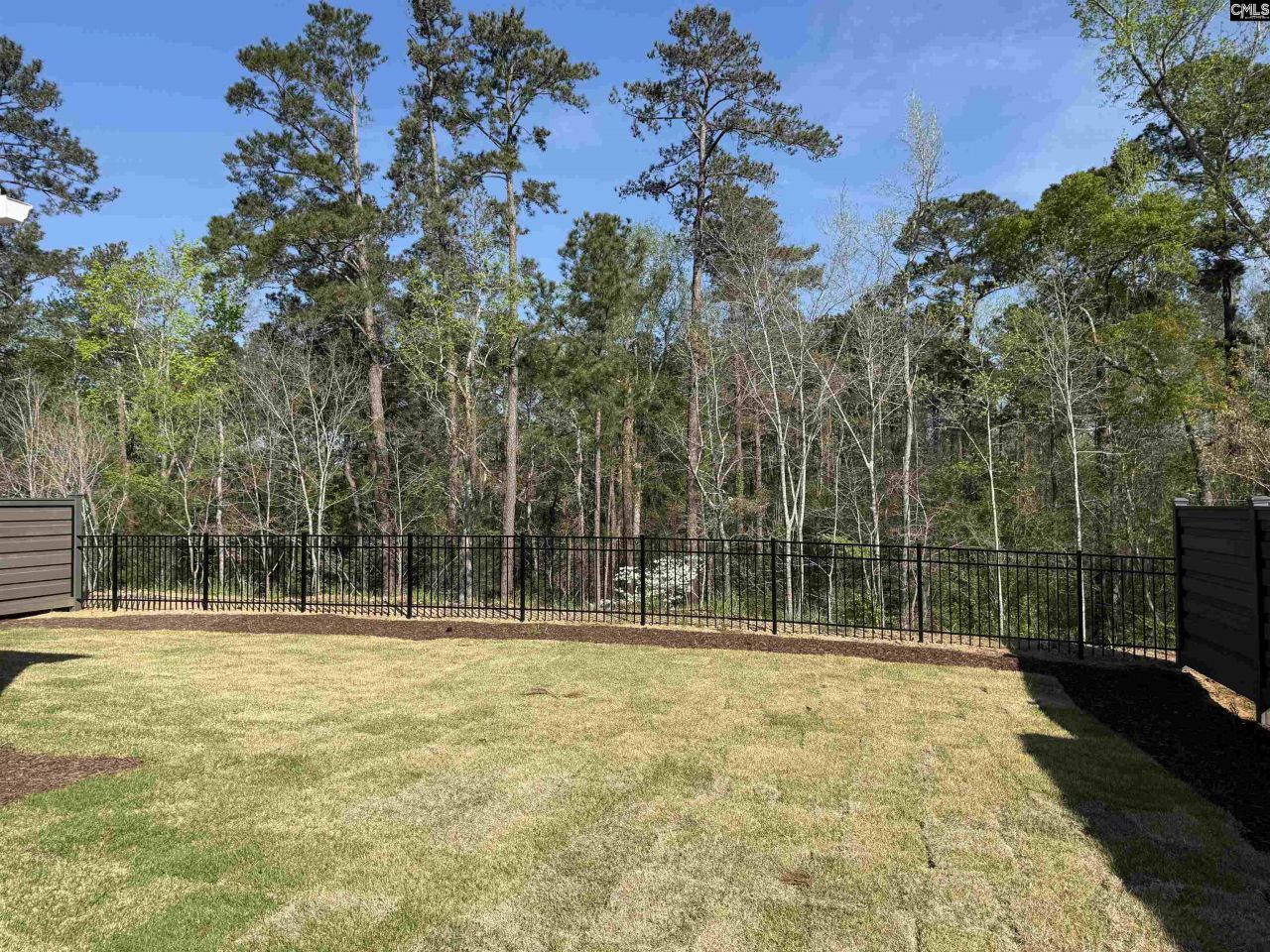 534 Dreher Locks Road  Photo 23