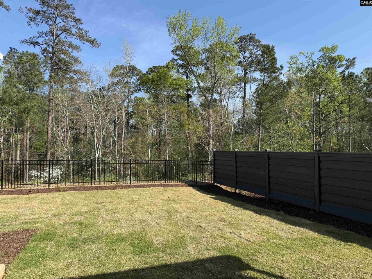 534 Dreher Locks Road  Photo 24