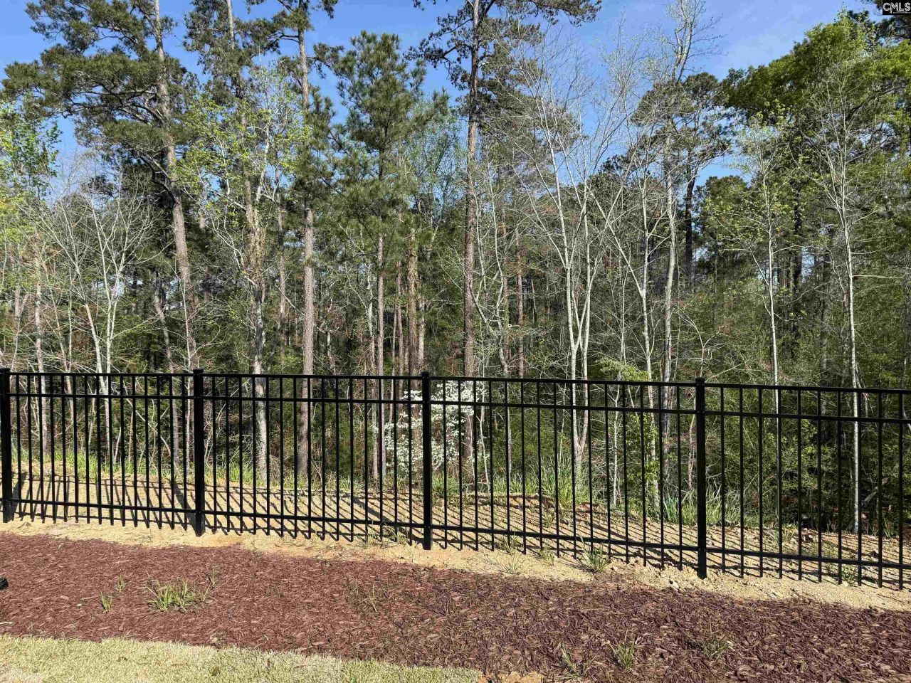 534 Dreher Locks Road  Photo 25