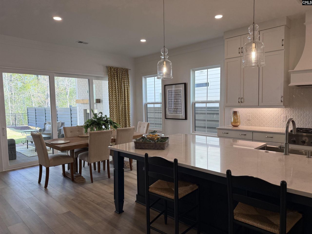 534 Dreher Locks Road  Photo 8