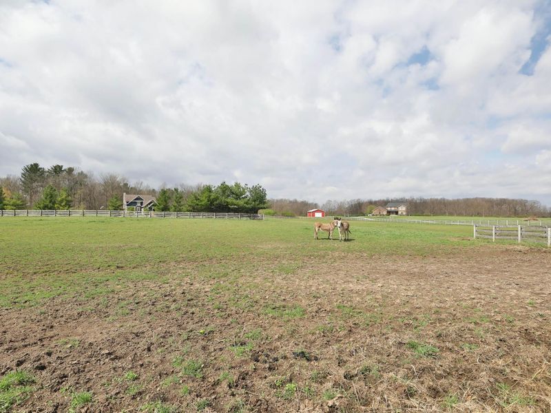 2313 Horseshoe Road, Delaware, OH 43015 Photo 44