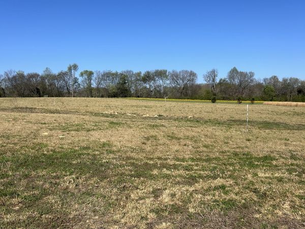 94 Watson Ct , Leoma, TN 38468