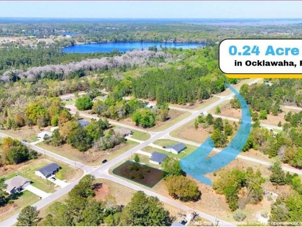 TBD FISHER ROAD , OCKLAWAHA, FL 32179