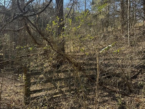 0 Molly Hollow Rd , New Tazewell, TN 37825